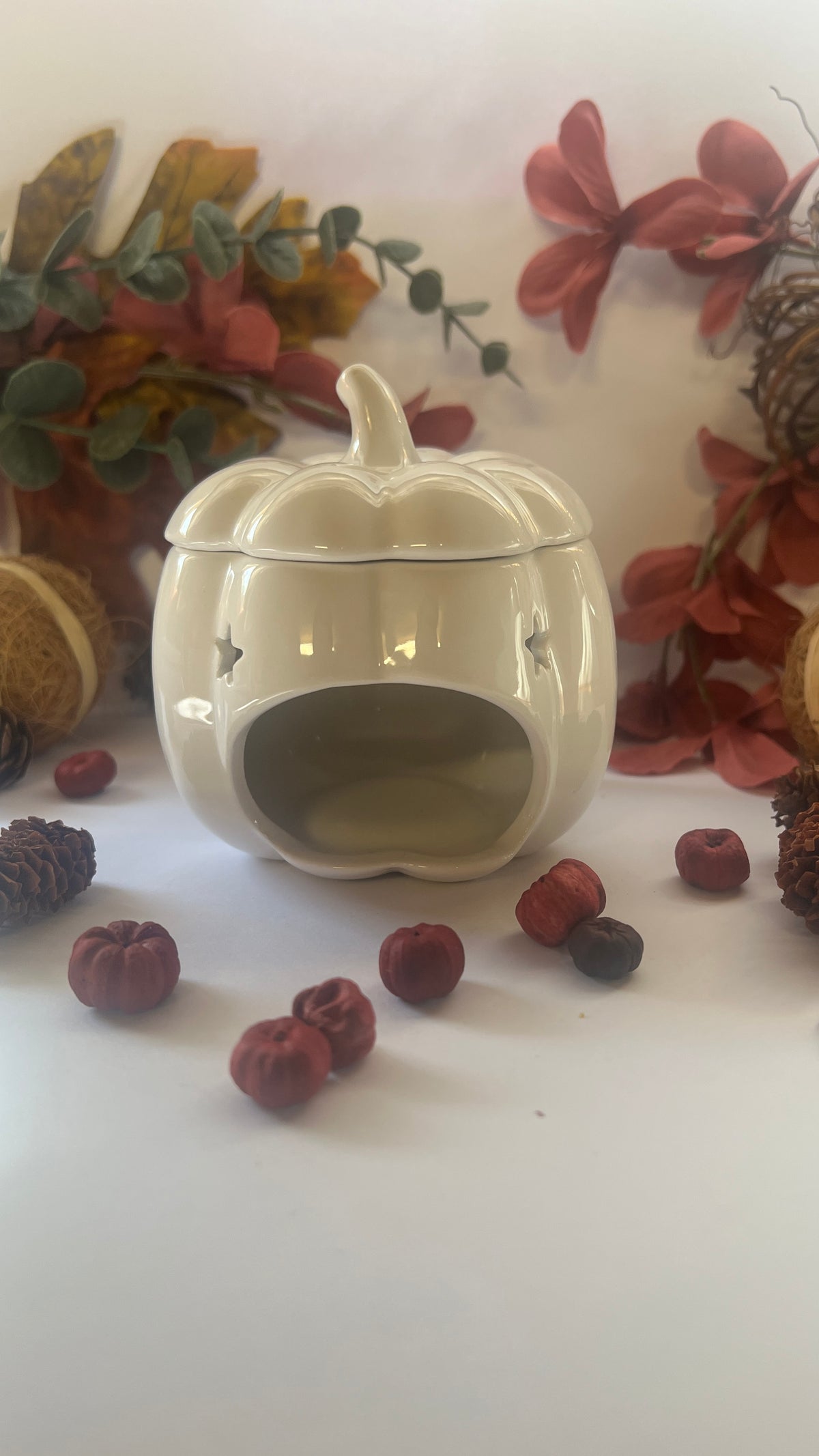 White Pumpkin Wax/ Oil Burner
