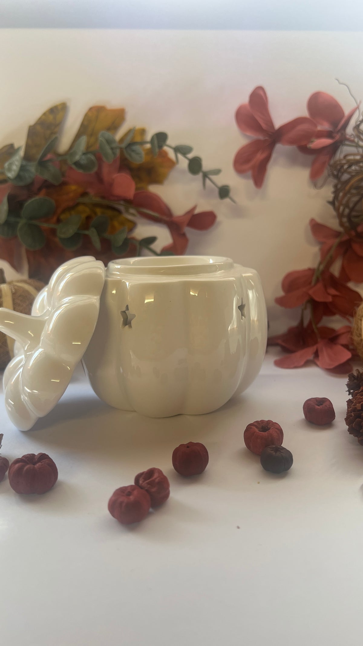 White Pumpkin Wax/ Oil Burner