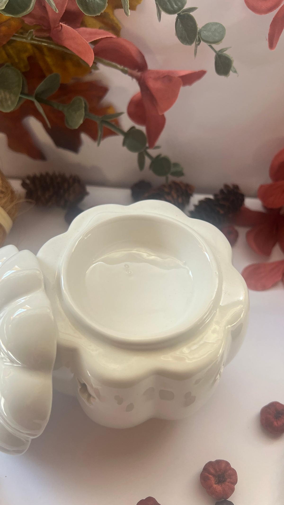 White Pumpkin Wax/ Oil Burner