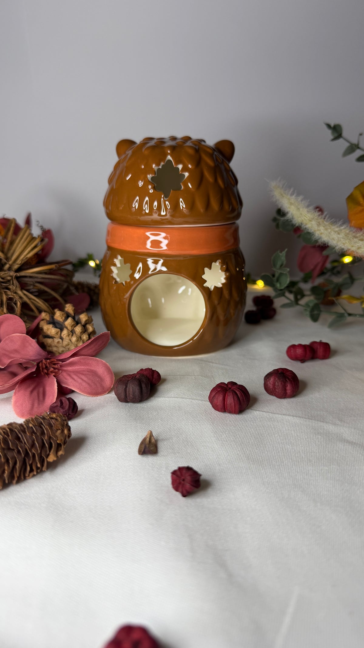 Hazel Hedgehog Ceramic Wax Warmer and Oil Burner