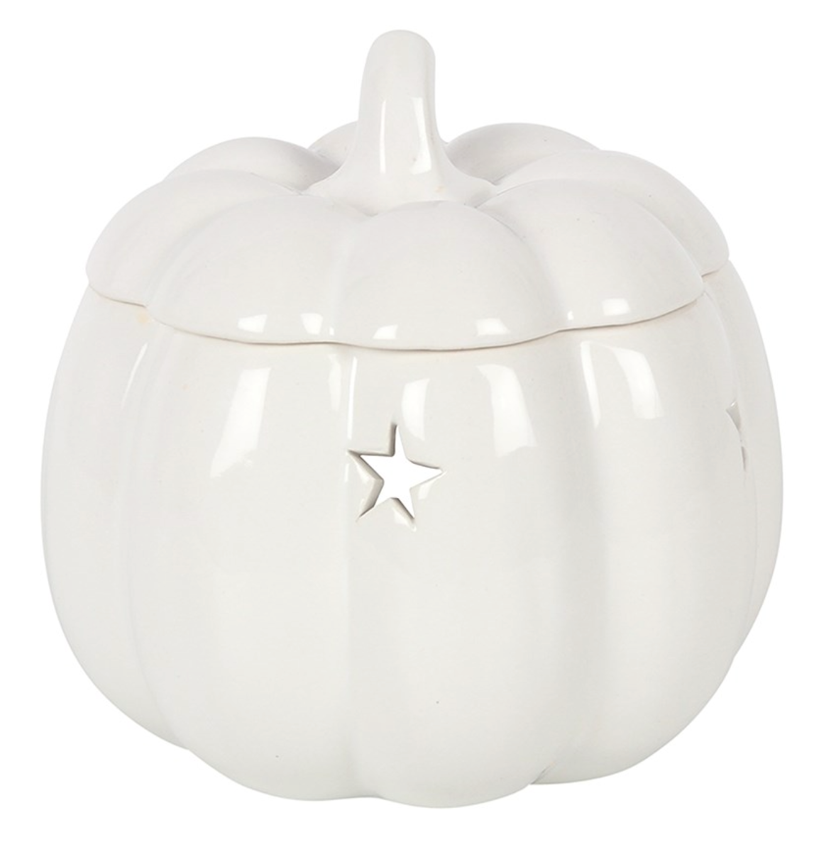 White Pumpkin Wax/ Oil Burner